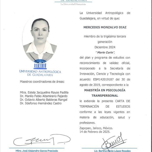 Ampliar imagen: certificate 12