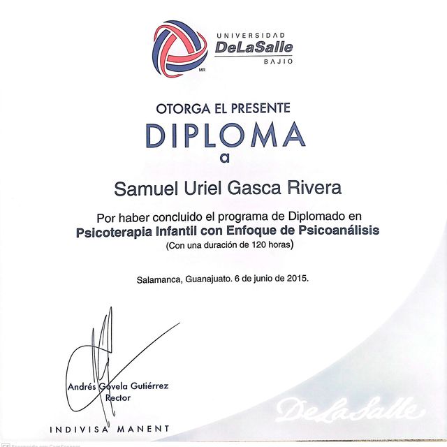 Ampliar imagen: certificate 1