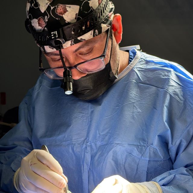 Ampliar imagen: certificate 6