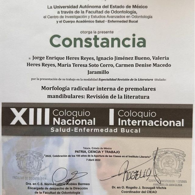Ampliar imagen: certificate 5