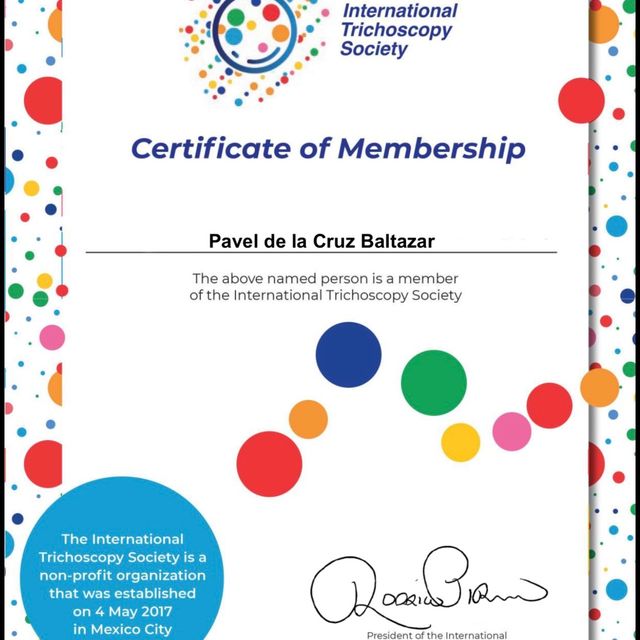 Ampliar imagen: certificate 4