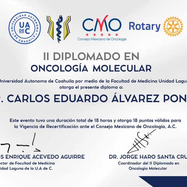 Ampliar imagen: certificate 17