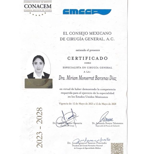 Ampliar imagen: certificate 2