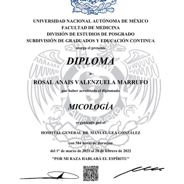 Ampliar imagen: certificate 4