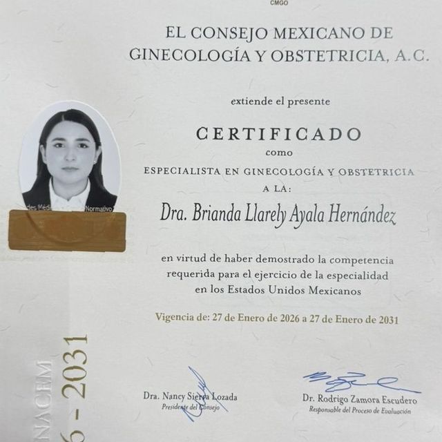 Ampliar imagen: certificate 4