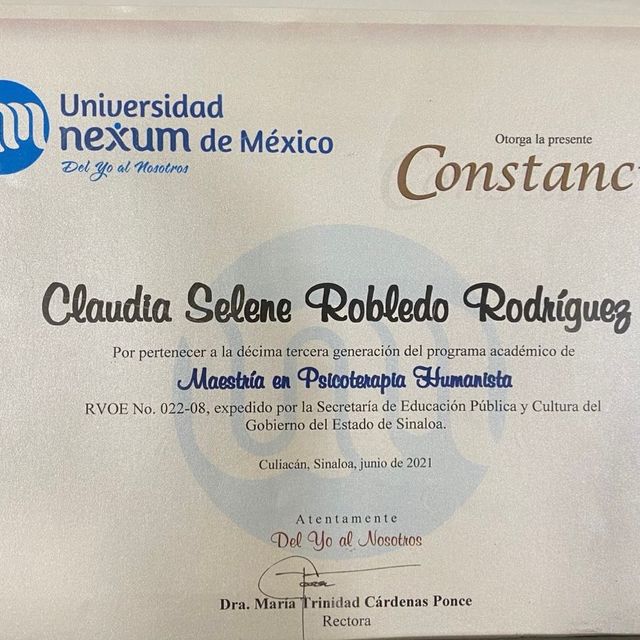 Ampliar imagen: certificate 2