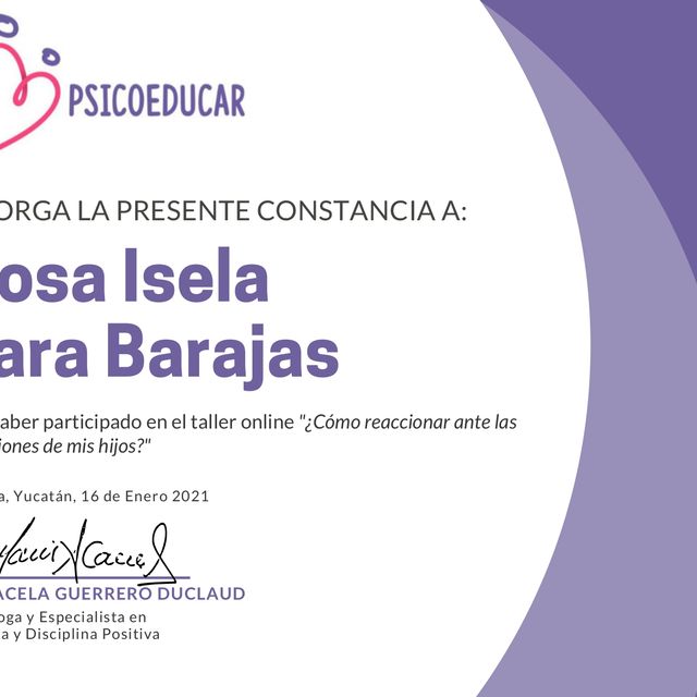 Ampliar imagen: certificate 2