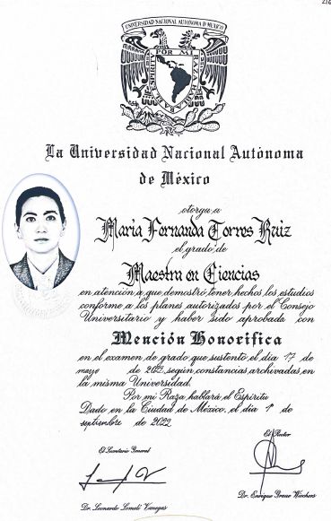 Ampliar imagen: certificate 8