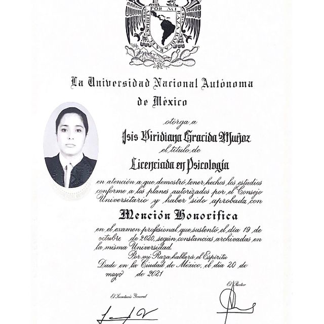 Ampliar imagen: certificate 1