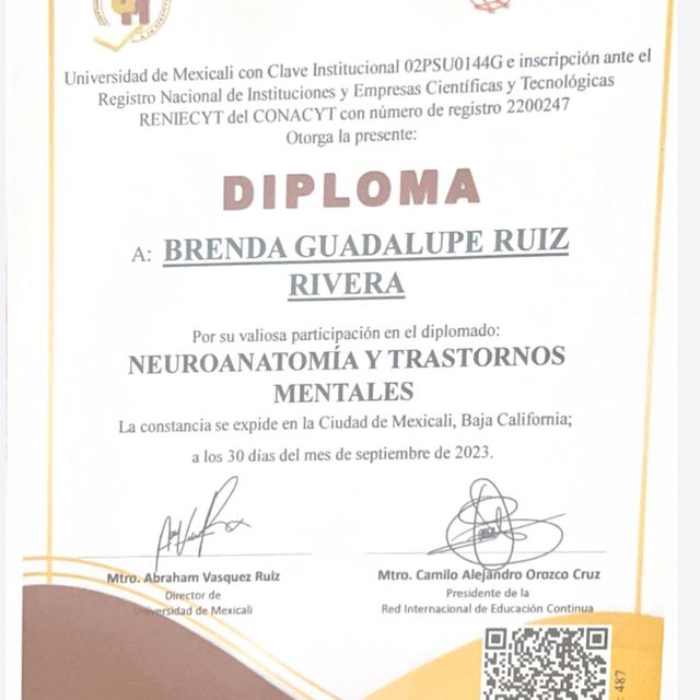 Ampliar imagen: certificate 8