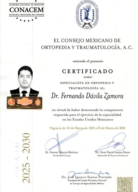 Ampliar imagen: certificate 1