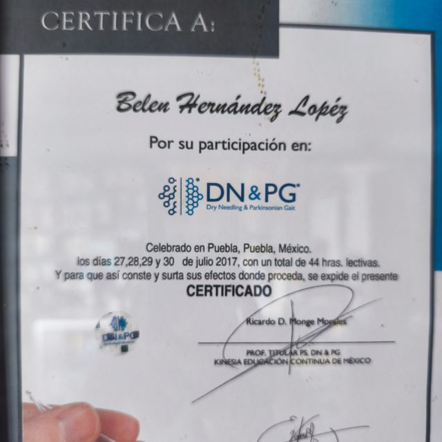 Ampliar imagen: certificate 7