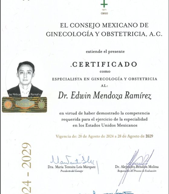 Ampliar imagen: certificate 1