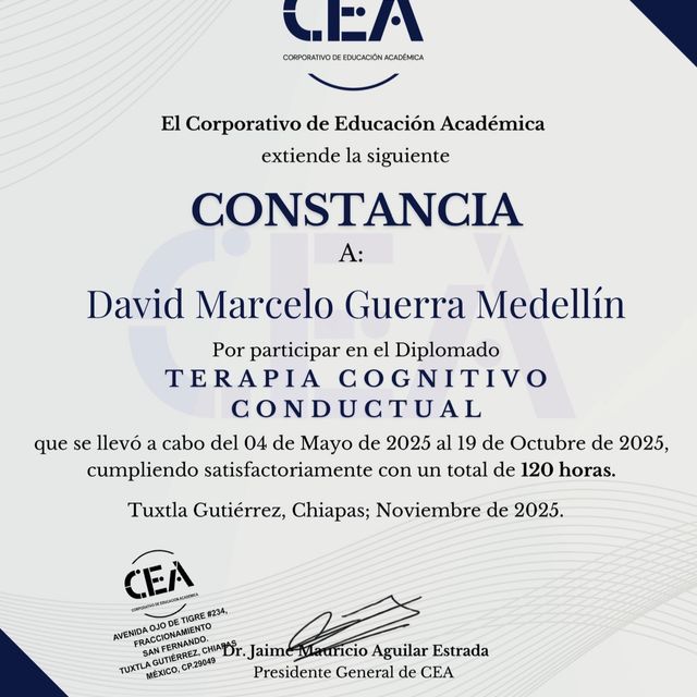 Ampliar imagen: certificate 4