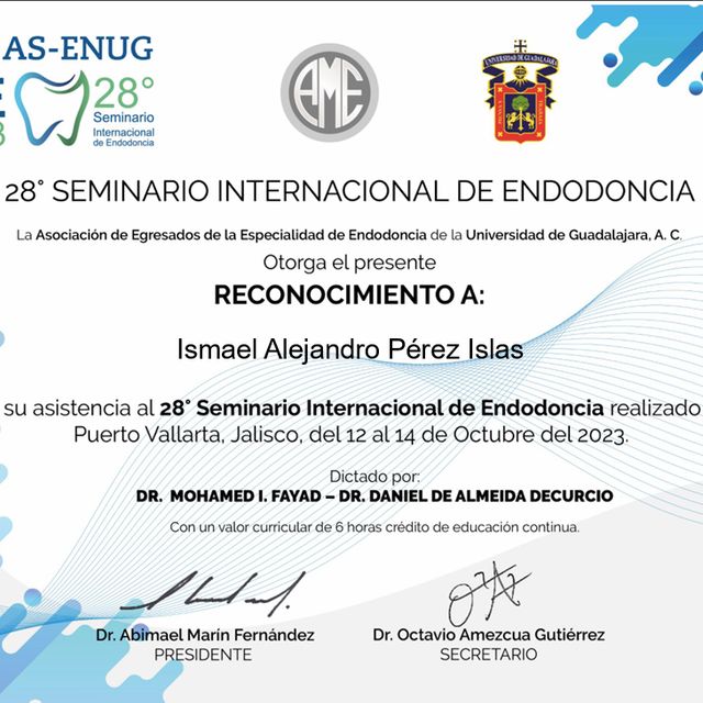 Ampliar imagen: certificate 7