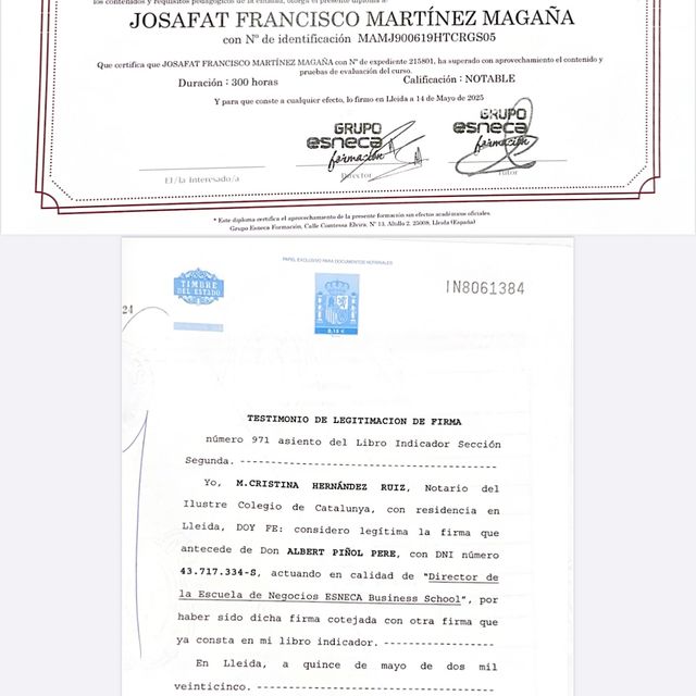 Ampliar imagen: certificate 4