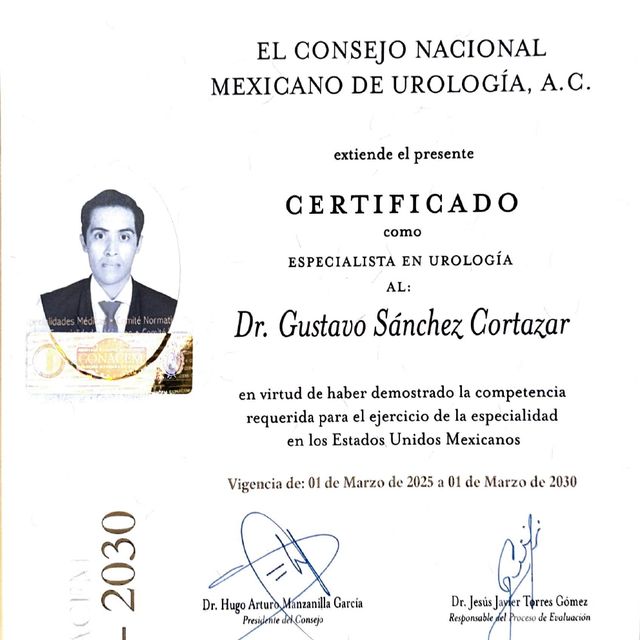 Ampliar imagen: certificate 3