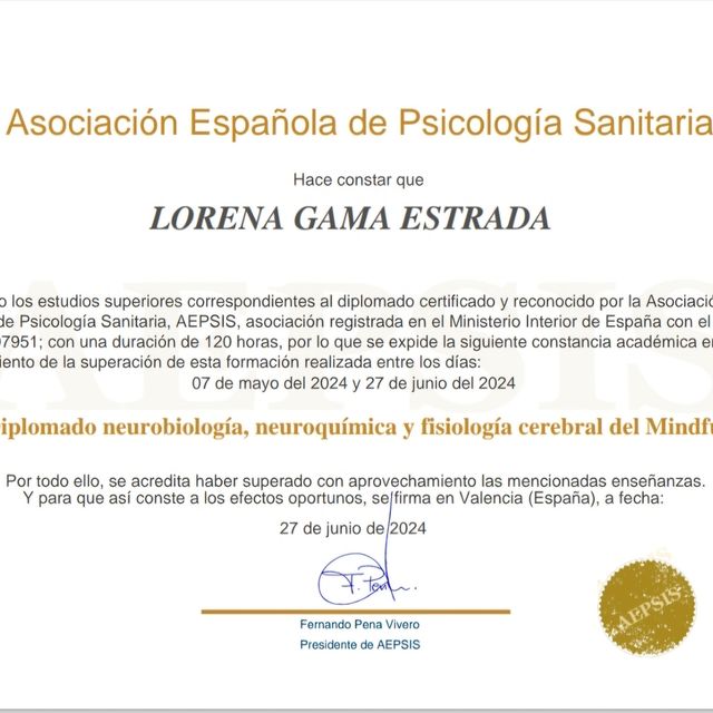 Ampliar imagen: certificate 3