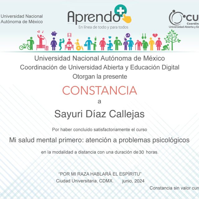 Ampliar imagen: certificate 4