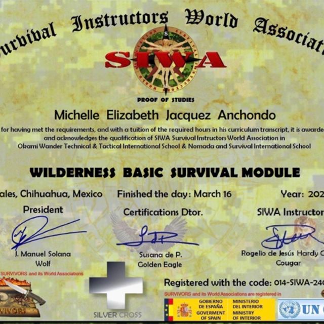 Ampliar imagen: certificate 6
