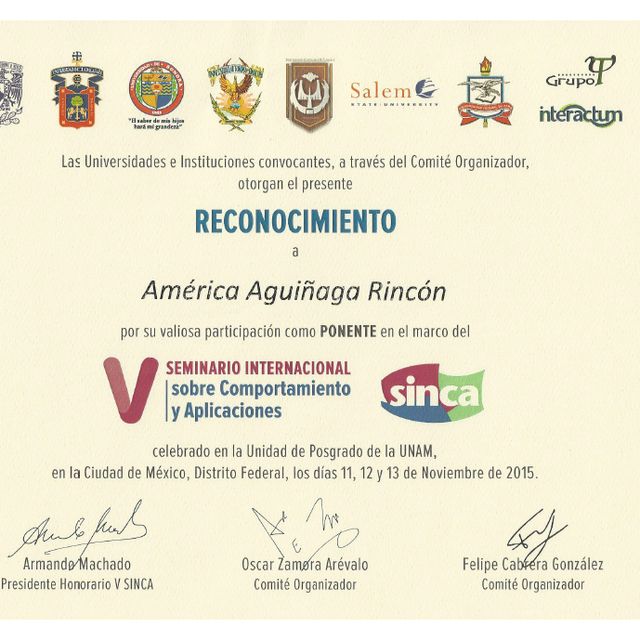 Ampliar imagen: certificate 5