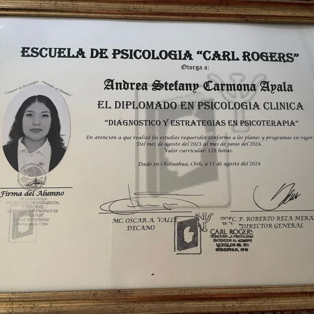 Ampliar imagen: certificate 2