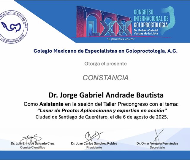 Ampliar imagen: certificate 13