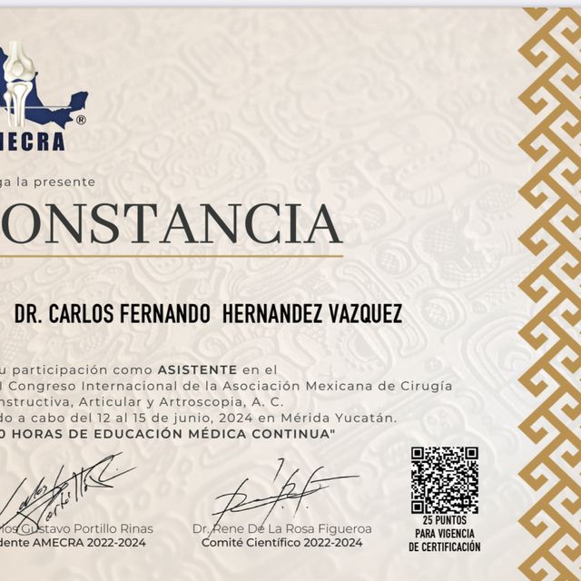 Ampliar imagen: certificate 4