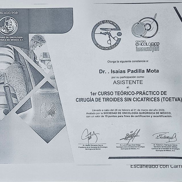 Ampliar imagen: certificate 6