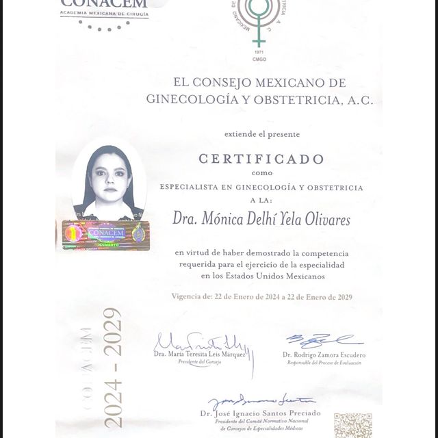 Ampliar imagen: certificate 1