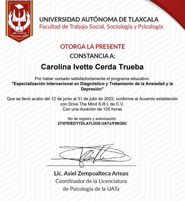 Ampliar imagen: certificate 7