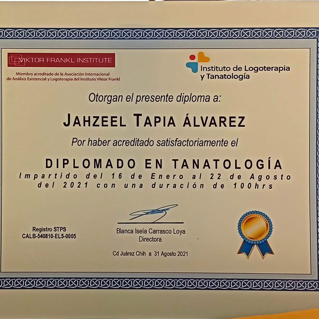 Ampliar imagen: certificate 8