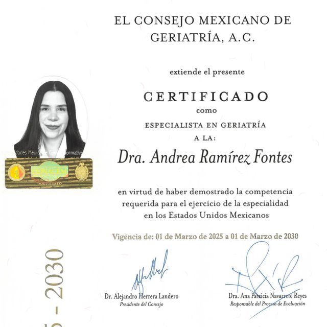 Ampliar imagen: certificate 1