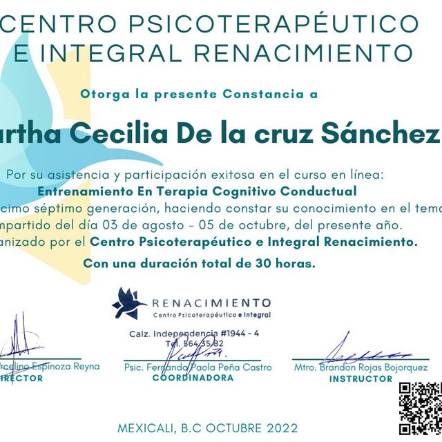 Ampliar imagen: certificate 7