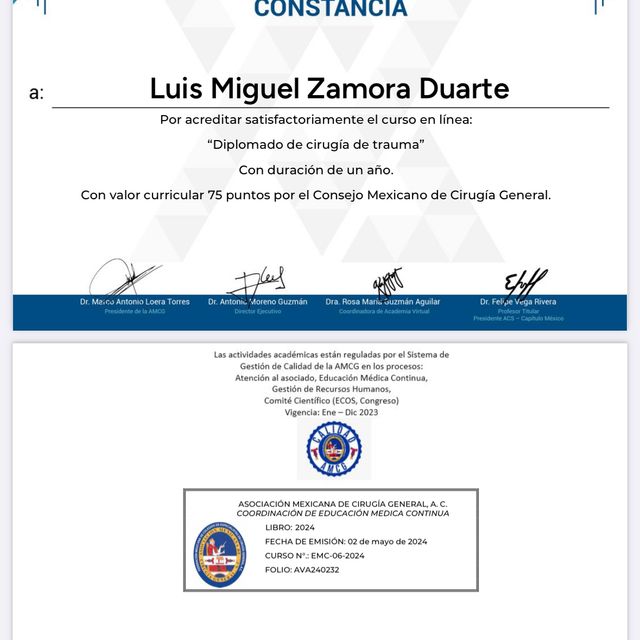Ampliar imagen: certificate 1