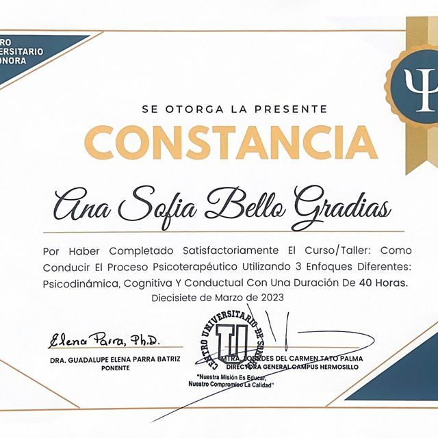 Ampliar imagen: certificate 6