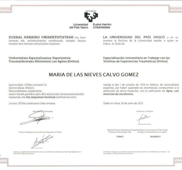 Ampliar imagen: certificate 5