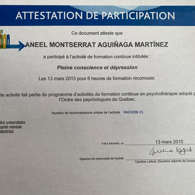 Ampliar imagen: certificate 7