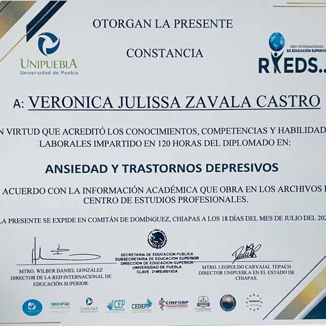 Ampliar imagen: certificate 4