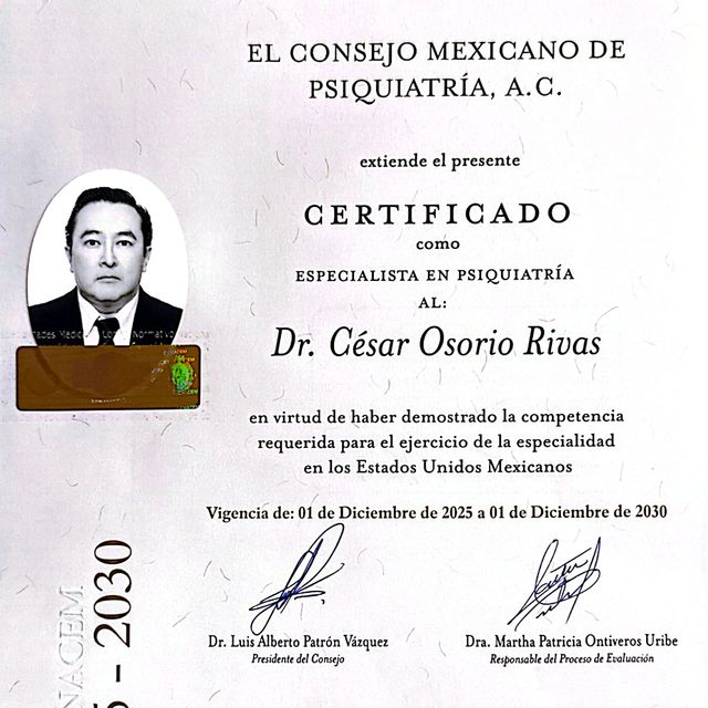 Ampliar imagen: certificate 1