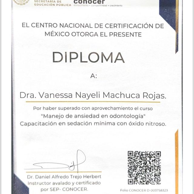 Ampliar imagen: certificate 2