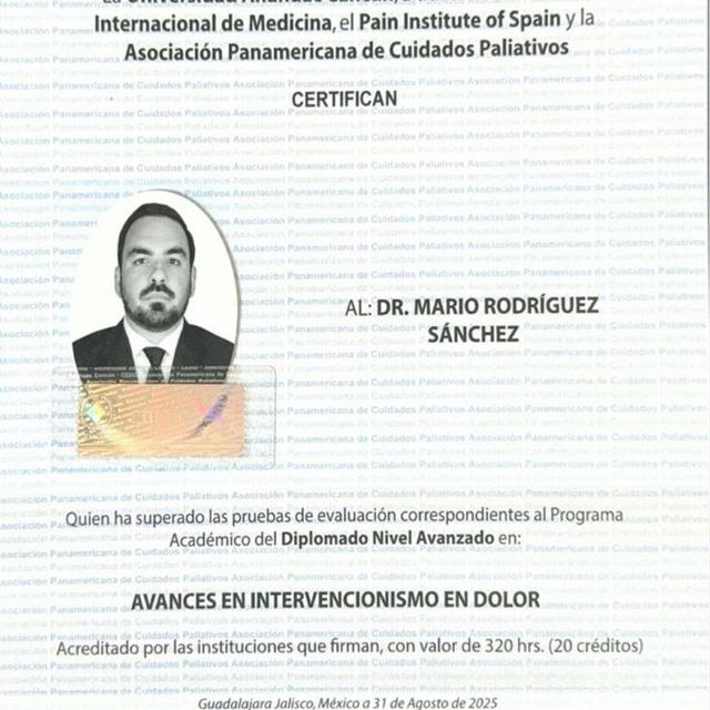 Ampliar imagen: certificate 8