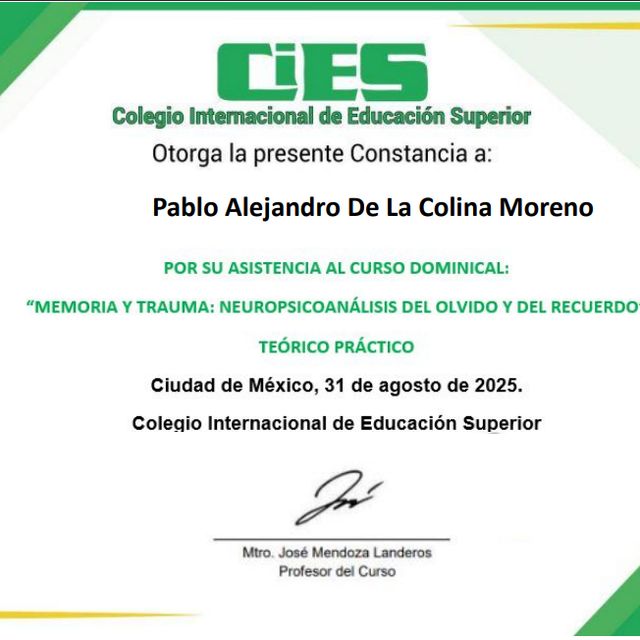 Ampliar imagen: certificate 1