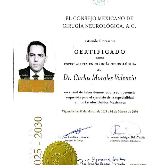Ampliar imagen: certificate 1