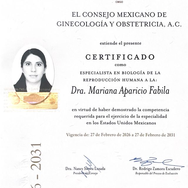 Ampliar imagen: certificate 2