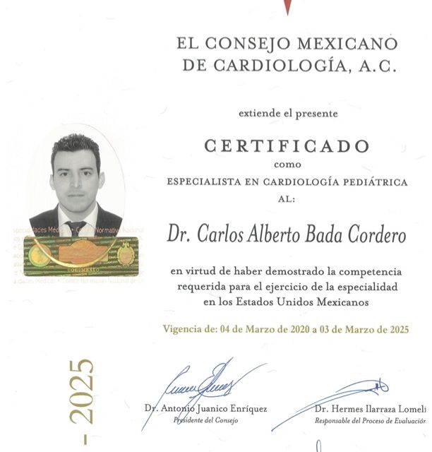 Ampliar imagen: certificate 3