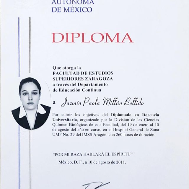 Ampliar imagen: certificate 7