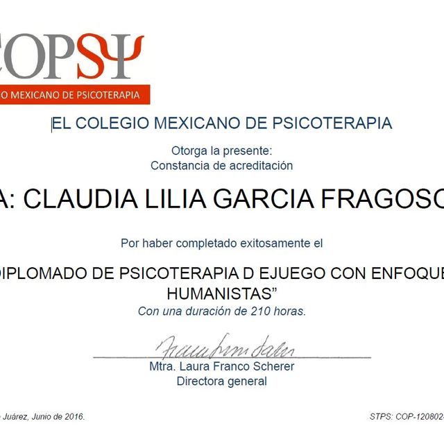 Ampliar imagen: certificate 5