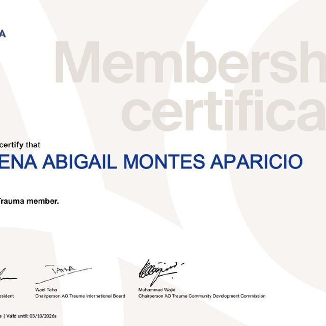 Ampliar imagen: certificate 1
