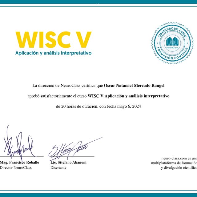 Ampliar imagen: certificate 13